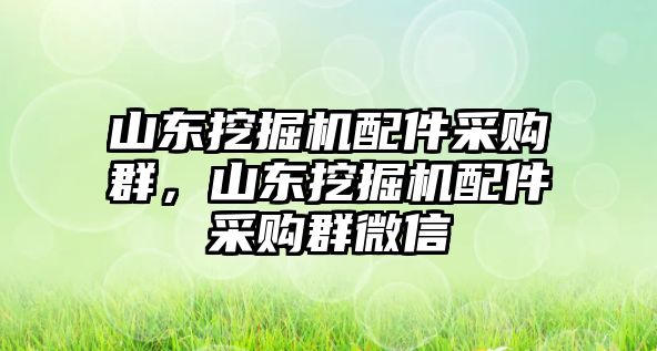 山東挖掘機(jī)配件采購群，山東挖掘機(jī)配件采購群微信