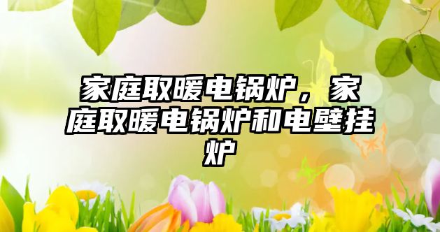 家庭取暖電鍋爐，家庭取暖電鍋爐和電壁掛爐