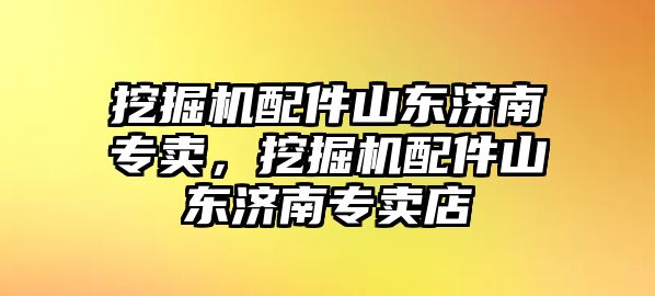 挖掘機(jī)配件山東濟(jì)南專賣，挖掘機(jī)配件山東濟(jì)南專賣店