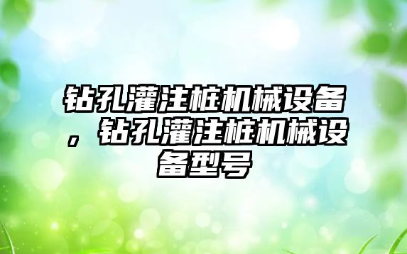 鉆孔灌注樁機械設備，鉆孔灌注樁機械設備型號