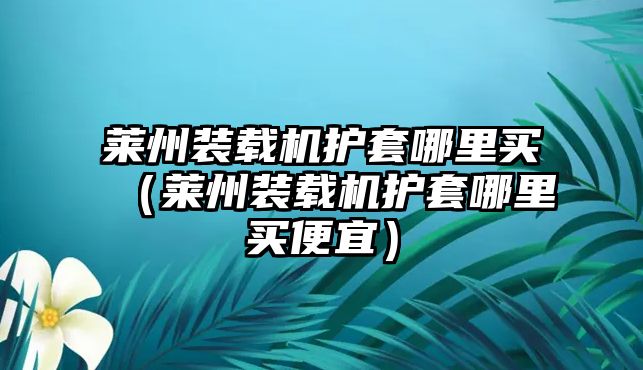 萊州裝載機護套哪里買（萊州裝載機護套哪里買便宜）