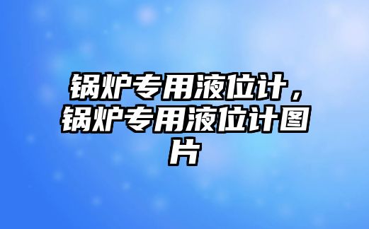 鍋爐專用液位計，鍋爐專用液位計圖片