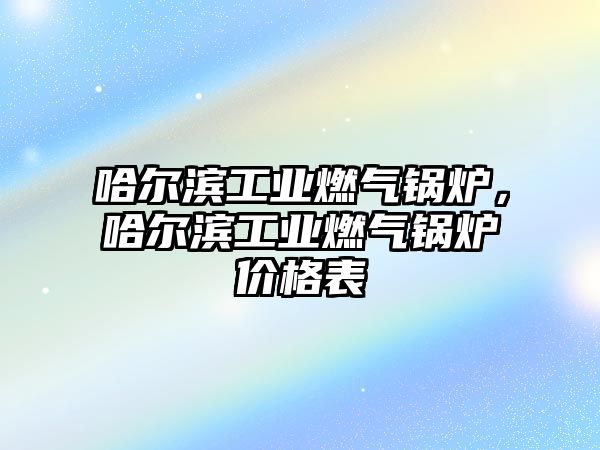 哈爾濱工業(yè)燃?xì)忮仩t，哈爾濱工業(yè)燃?xì)忮仩t價格表