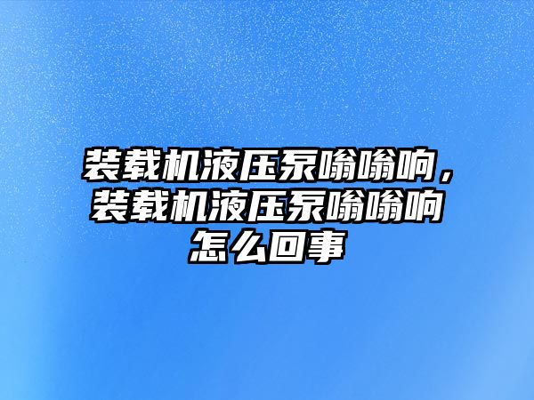 裝載機液壓泵嗡嗡響，裝載機液壓泵嗡嗡響怎么回事