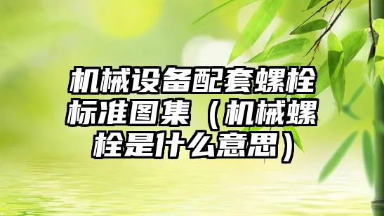 機械設備配套螺栓標準圖集（機械螺栓是什么意思）