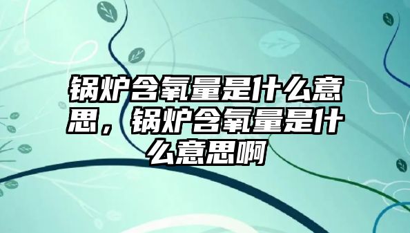 鍋爐含氧量是什么意思，鍋爐含氧量是什么意思啊