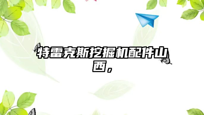 特雷克斯挖掘機配件山西，