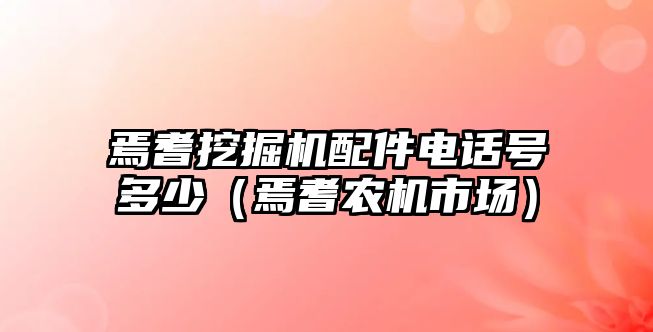 焉耆挖掘機配件電話號多少（焉耆農(nóng)機市場）