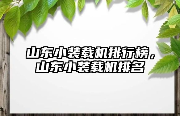 山東小裝載機排行榜，山東小裝載機排名