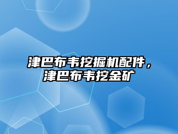 津巴布韋挖掘機(jī)配件，津巴布韋挖金礦