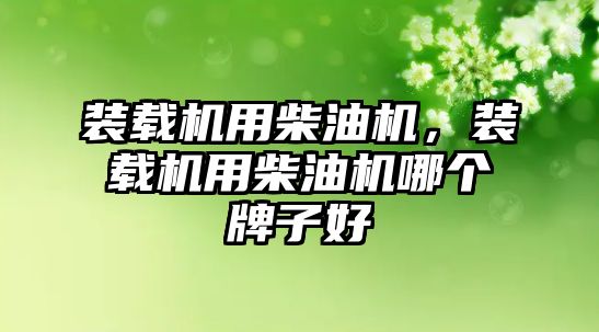 裝載機用柴油機，裝載機用柴油機哪個牌子好