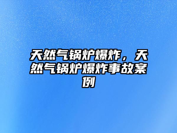 天然氣鍋爐爆炸，天然氣鍋爐爆炸事故案例