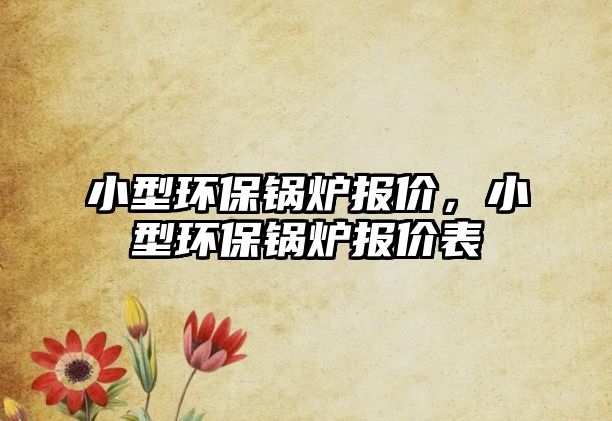 小型環保鍋爐報價，小型環保鍋爐報價表