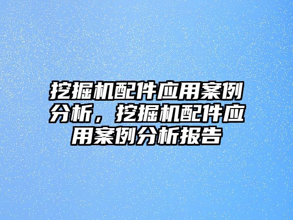 挖掘機配件應用案例分析，挖掘機配件應用案例分析報告