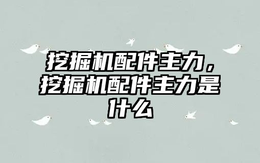 挖掘機配件主力，挖掘機配件主力是什么