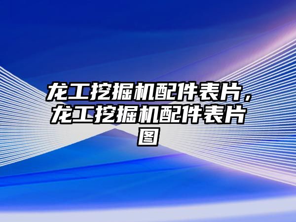 龍工挖掘機配件表片，龍工挖掘機配件表片圖