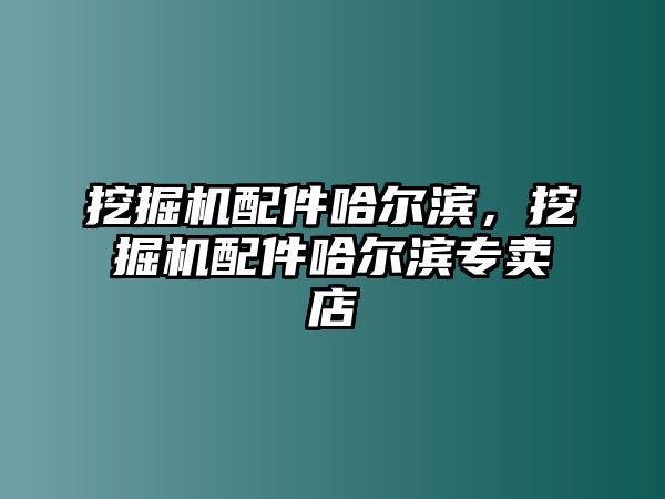 挖掘機(jī)配件哈爾濱，挖掘機(jī)配件哈爾濱專賣店