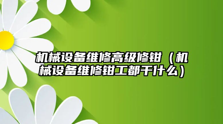 機械設備維修高級修鉗（機械設備維修鉗工都干什么）