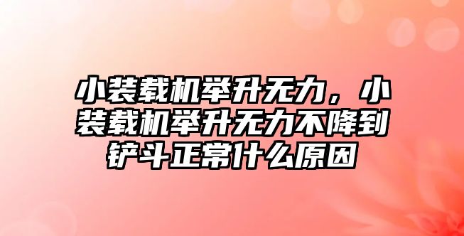 小裝載機舉升無力，小裝載機舉升無力不降到鏟斗正常什么原因