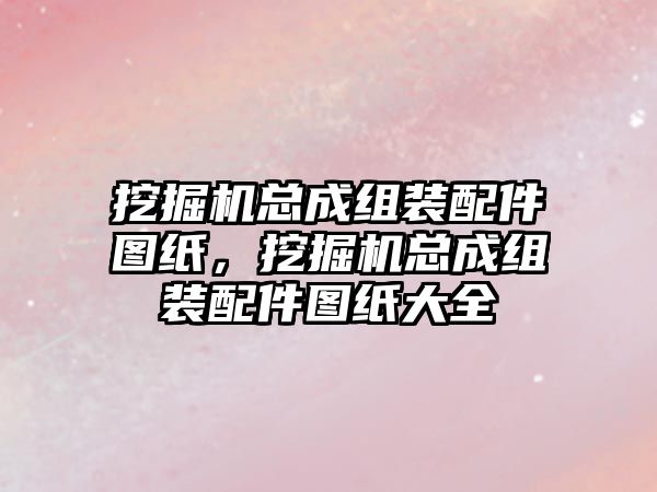 挖掘機總成組裝配件圖紙，挖掘機總成組裝配件圖紙大全