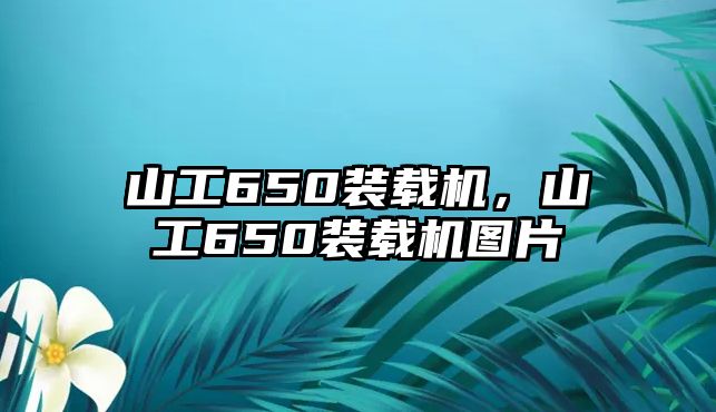 山工650裝載機，山工650裝載機圖片