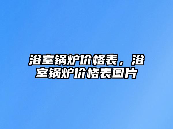 浴室鍋爐價格表，浴室鍋爐價格表圖片