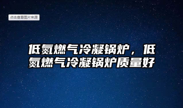 低氮燃氣冷凝鍋爐，低氮燃氣冷凝鍋爐質量好