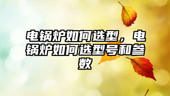 電鍋爐如何選型，電鍋爐如何選型號和參數(shù)