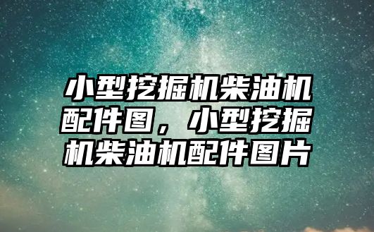 小型挖掘機柴油機配件圖，小型挖掘機柴油機配件圖片