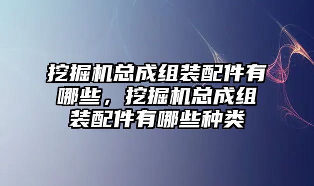 挖掘機(jī)總成組裝配件有哪些，挖掘機(jī)總成組裝配件有哪些種類(lèi)