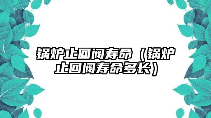 鍋爐止回閥壽命（鍋爐止回閥壽命多長(zhǎng)）