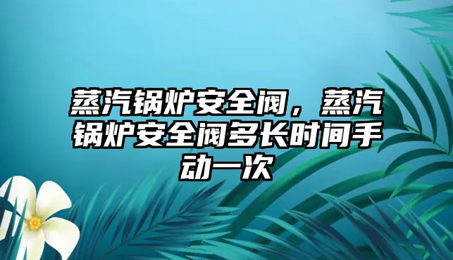 蒸汽鍋爐安全閥，蒸汽鍋爐安全閥多長時間手動一次