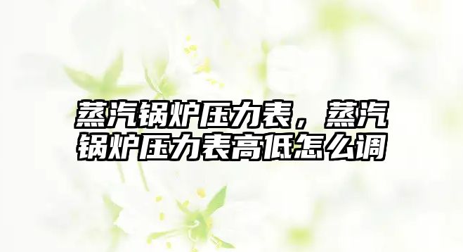 蒸汽鍋爐壓力表，蒸汽鍋爐壓力表高低怎么調(diào)