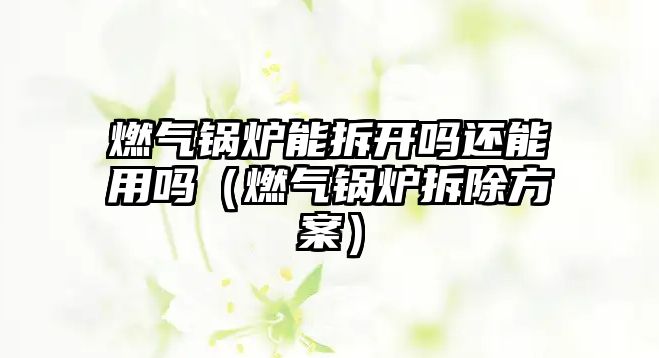 燃氣鍋爐能拆開嗎還能用嗎（燃氣鍋爐拆除方案）