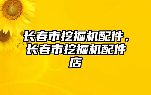 長春市挖掘機配件，長春市挖掘機配件店