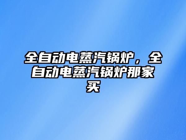 全自動電蒸汽鍋爐，全自動電蒸汽鍋爐那家買