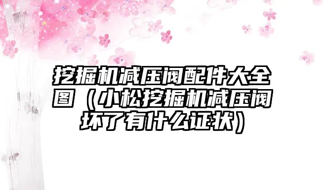 挖掘機減壓閥配件大全圖（小松挖掘機減壓閥壞了有什么證狀）