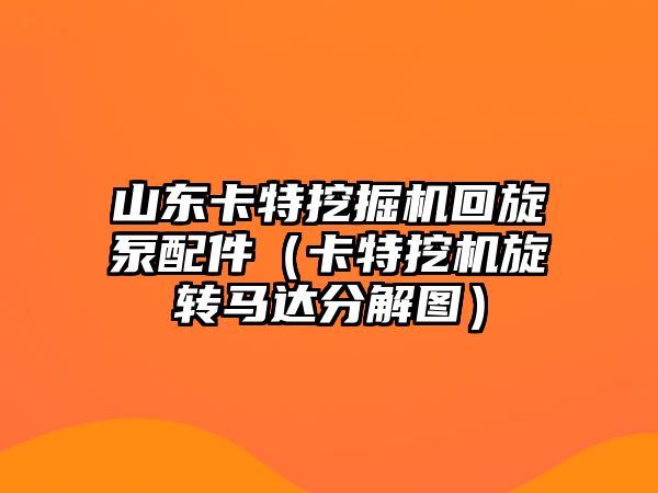 山東卡特挖掘機回旋泵配件（卡特挖機旋轉馬達分解圖）