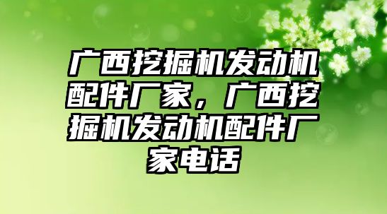 廣西挖掘機發動機配件廠家，廣西挖掘機發動機配件廠家電話