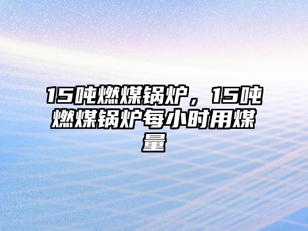 15噸燃煤鍋爐，15噸燃煤鍋爐每小時用煤量