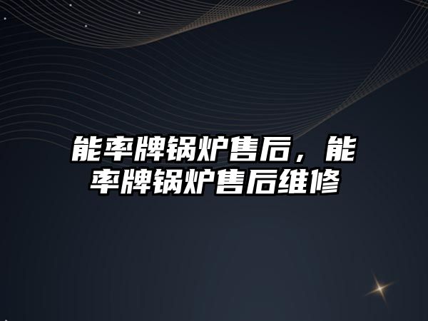 能率牌鍋爐售后，能率牌鍋爐售后維修