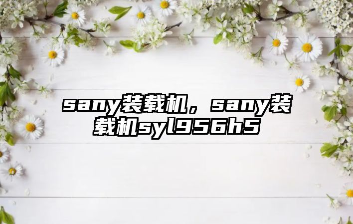 sany裝載機，sany裝載機syl956h5