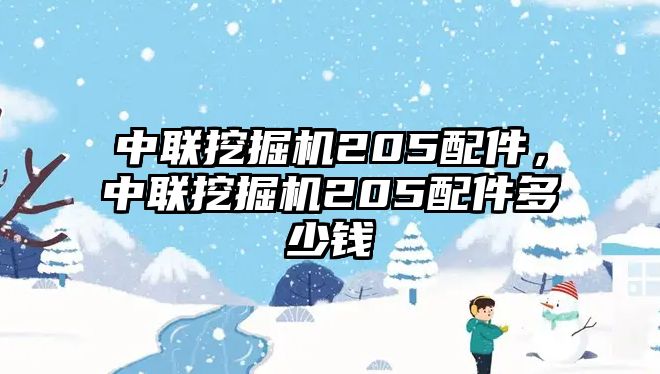 中聯(lián)挖掘機205配件，中聯(lián)挖掘機205配件多少錢