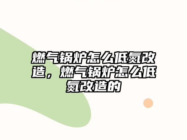 燃氣鍋爐怎么低氮改造，燃氣鍋爐怎么低氮改造的