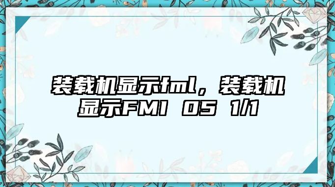 裝載機顯示fml，裝載機顯示FMI 05 1/1