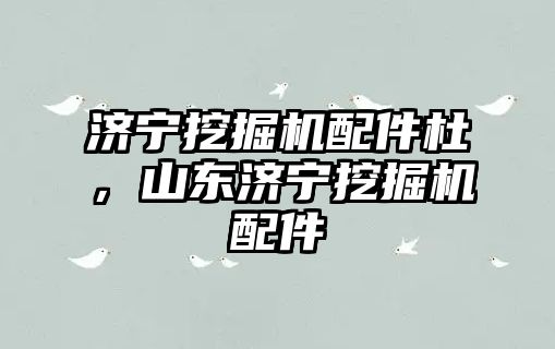 濟寧挖掘機配件杜，山東濟寧挖掘機配件