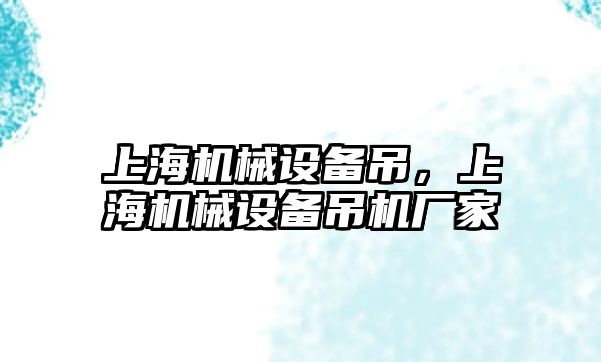 上海機械設備吊，上海機械設備吊機廠家