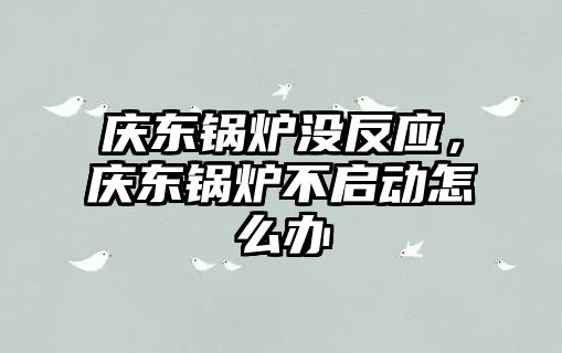 慶東鍋爐沒反應，慶東鍋爐不啟動怎么辦