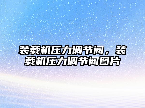 裝載機壓力調節閥，裝載機壓力調節閥圖片