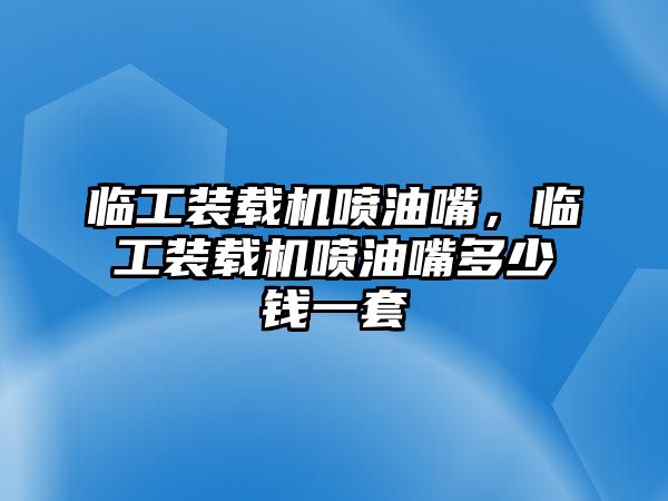 臨工裝載機噴油嘴，臨工裝載機噴油嘴多少錢一套